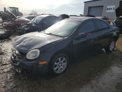 Salvage cars for sale at Elgin, IL auction: 2005 Dodge Neon SXT