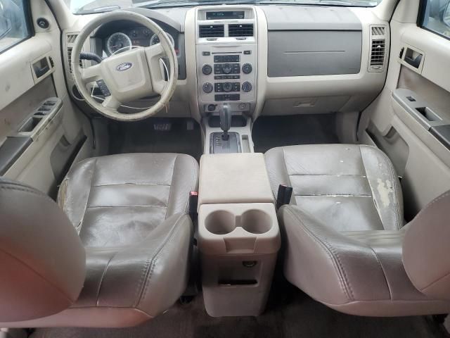 2009 Ford Escape XLT