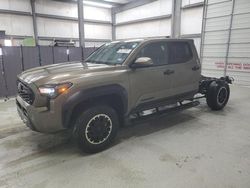 Salvage cars for sale at New Braunfels, TX auction: 2024 Toyota Tacoma Double Cab