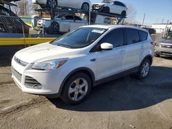 Salvage cars for sale at Denver, CO auction: 2016 Ford Escape SE