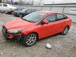 2015 Ford Focus SE en venta en Walton, KY