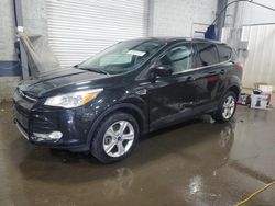 Salvage cars for sale at Ham Lake, MN auction: 2014 Ford Escape SE