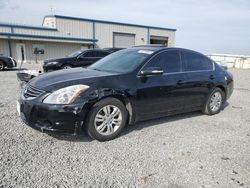 Nissan Vehiculos salvage en venta: 2012 Nissan Altima Base