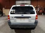 2004 Ford Escape XLT