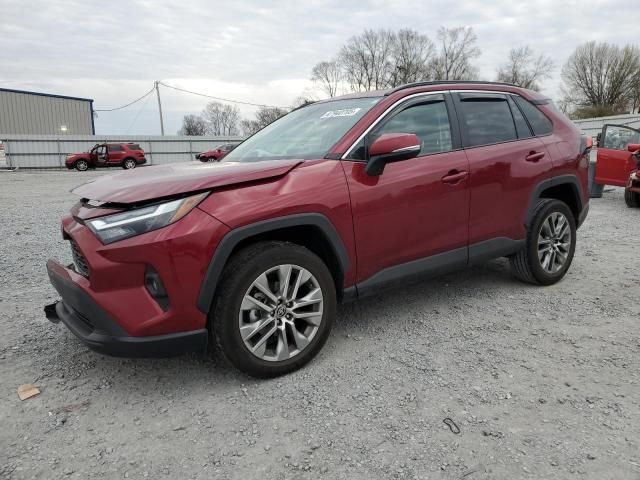 2023 Toyota Rav4 XLE Premium