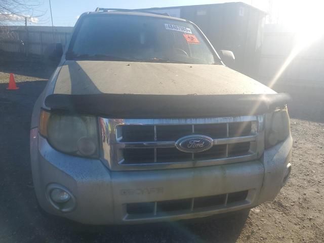 2011 Ford Escape XLT