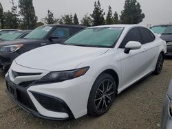 Salvage cars for sale at Rancho Cucamonga, CA auction: 2024 Toyota Camry SE Night Shade