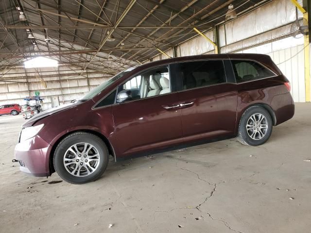 2013 Honda Odyssey EXL