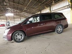 Honda Odyssey exl Vehiculos salvage en venta: 2013 Honda Odyssey EXL