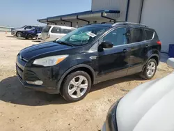 Salvage cars for sale at Temple, TX auction: 2013 Ford Escape SE