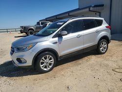 Salvage cars for sale at Temple, TX auction: 2019 Ford Escape SEL