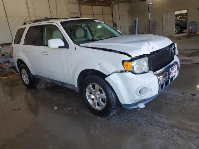 2010 Ford Escape Limited