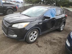 Salvage cars for sale at New Britain, CT auction: 2016 Ford Escape SE