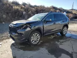 Salvage cars for sale from Copart Reno, NV: 2024 Toyota Rav4 XLE Premium