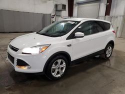 Salvage cars for sale at Avon, MN auction: 2015 Ford Escape SE