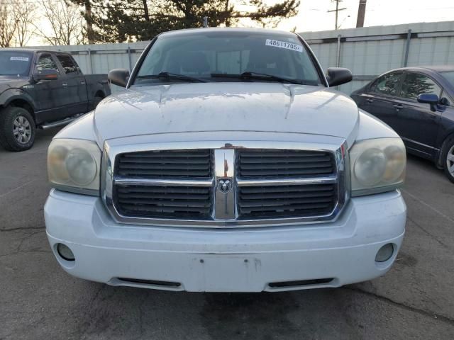 2007 Dodge Dakota Quattro