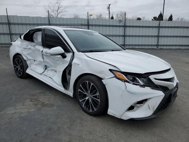 2019 Toyota Camry Hybrid