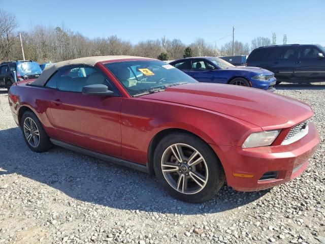 2010 Ford Mustang