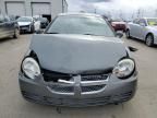 2005 Dodge Neon SXT