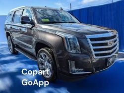 Salvage cars for sale at North Billerica, MA auction: 2017 Cadillac Escalade Luxury