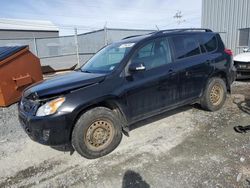 Salvage cars for sale at Elmsdale, NS auction: 2011 Toyota Rav4