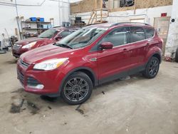 4 X 4 for sale at auction: 2013 Ford Escape SE