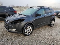 Salvage cars for sale at Louisville, KY auction: 2013 Ford Escape SE