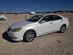 Salvage cars for sale at New Braunfels, TX auction: 2010 Lexus ES 350