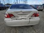 2002 Lexus ES 300