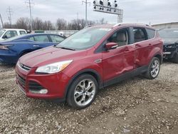 SUV salvage a la venta en subasta: 2014 Ford Escape Titanium