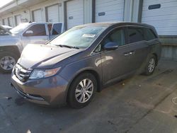 Salvage cars for sale at Louisville, KY auction: 2015 Honda Odyssey EXL