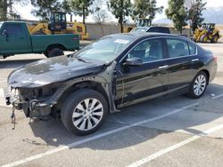 Salvage cars for sale at Rancho Cucamonga, CA auction: 2014 Honda Accord EXL