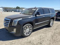 Carros salvage a la venta en subasta: 2016 Cadillac Escalade Platinum