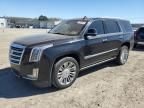 2016 Cadillac Escalade Platinum