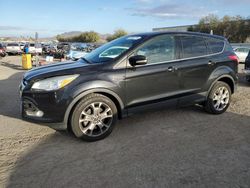 Salvage cars for sale at Las Vegas, NV auction: 2013 Ford Escape SEL