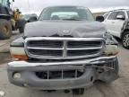 2004 Dodge Dakota Quad SLT