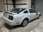 2006 Ford Mustang