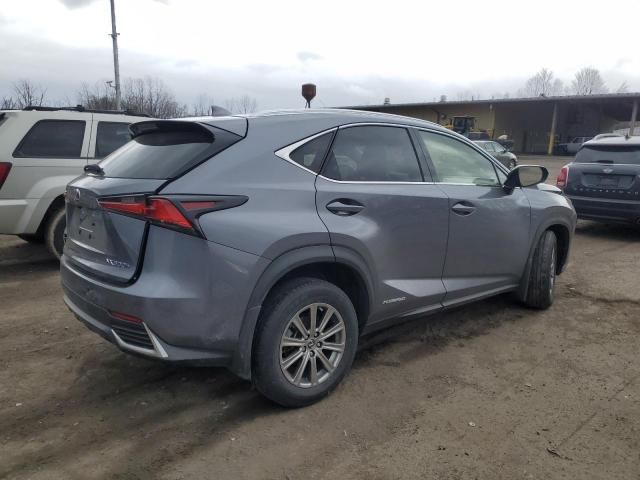 2019 Lexus NX 300H