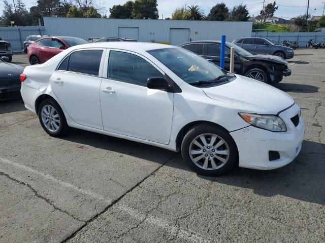 2010 Toyota Corolla Base