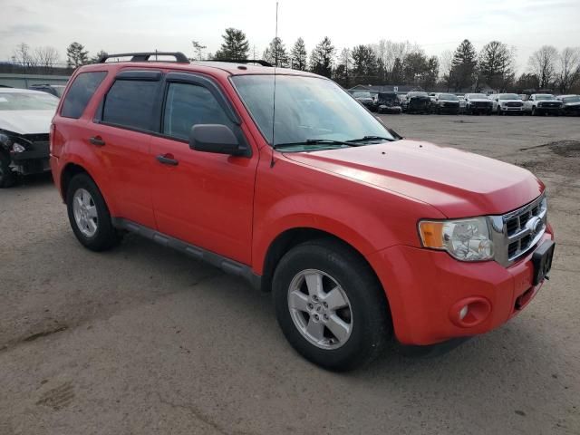 2009 Ford Escape XLT