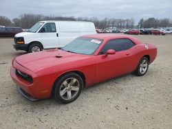 Vehiculos salvage en venta de Copart Conway, AR: 2013 Dodge Challenger SXT