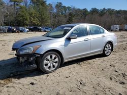 Salvage cars for sale at Seaford, DE auction: 2010 Honda Accord EXL