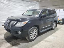 SUV salvage a la venta en subasta: 2010 Lexus LX 570