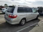 2005 Honda Odyssey EXL