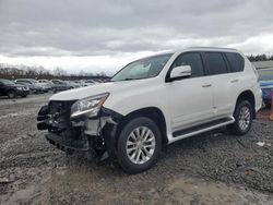 Carros con verificación Run & Drive a la venta en subasta: 2014 Lexus GX 460