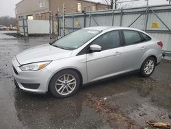 Ford Vehiculos salvage en venta: 2018 Ford Focus SE