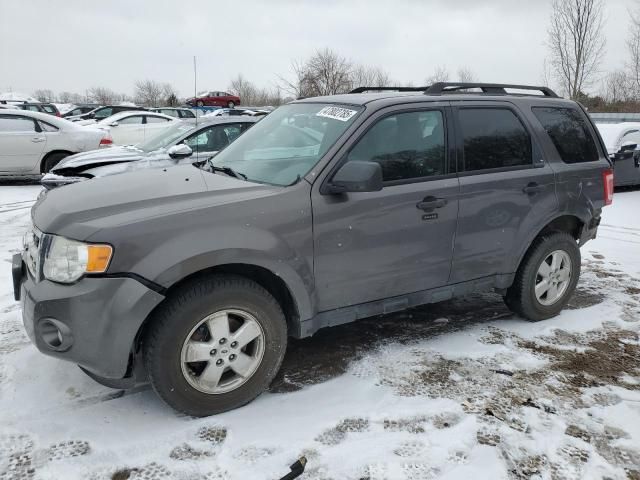 2011 Ford Escape XLT