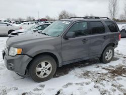 Salvage cars for sale from Copart London, ON: 2011 Ford Escape XLT