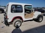 1992 Jeep Wrangler / YJ S