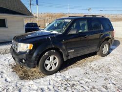 SUV salvage a la venta en subasta: 2008 Ford Escape XLT